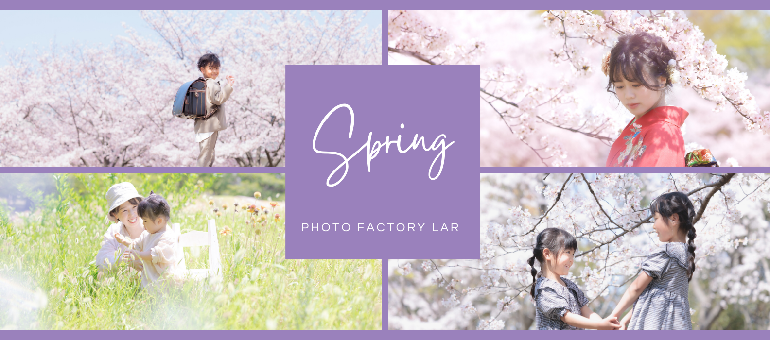 桜や野原や芝桜などのロケーション写真